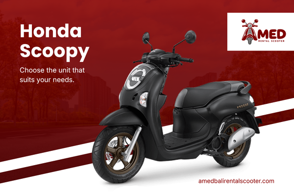 unit amed rental scooter (2)