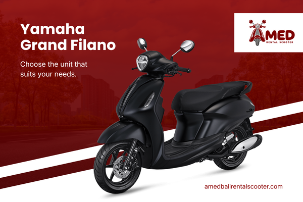 unit amed rental scooter (5)